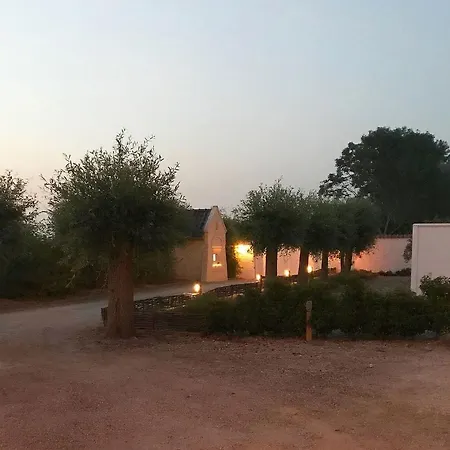 Domaine 10